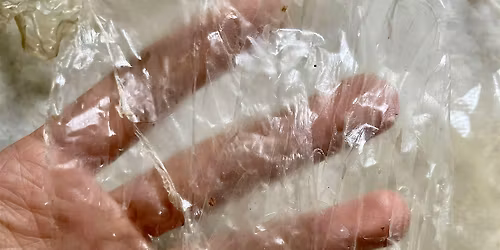 Make your Own Bio-Plastic Workshop