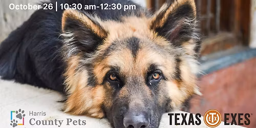 Harris County Pets Community Service Project - Texas Exes Houston chapter