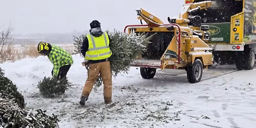 Holiday Tree Recycling Day