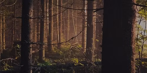 \u0645\u0634\u0627\u0631\u0643\u0629 \u0644\u0645\u0628\u0631 \u0648\u0646 \u0648\u0648\u062f \u0622\u0646\u062f \u062f\u064a\u0643\u0648\u0631 Lumber One Wood and Decor \u0641\u064a \u0645\u0639\u0631\u0636 \u0627\u0644\u0642\u0627\u0647\u0631\u0629 \u0627\u0644\u062f\u0648\u0644\u064a \u0644\u0644\u0623\u062e\u0634\u0627\u0628