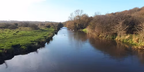 Birding walk around Croxley Common Moor
