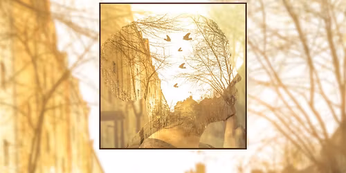 The Power of Imagination: A creative writing workshop for adults