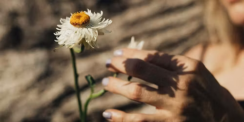 The Natural Reset: Aromatherapy for Anxiety & Stress Relief