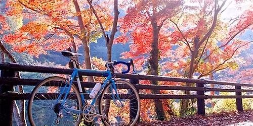 Trek Fresno and Fairway Lounge Brunch Ride