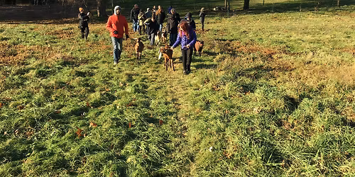 Philly GOAT Walk and Lenape Nation Talk, FREE!