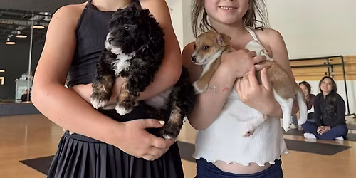 MOTHERS DAY AT PUPPY YOGA DETROIT