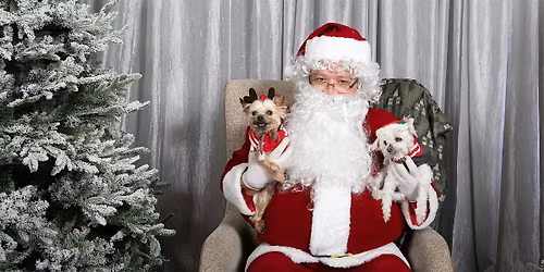 Santa Paws is Coming to Town!