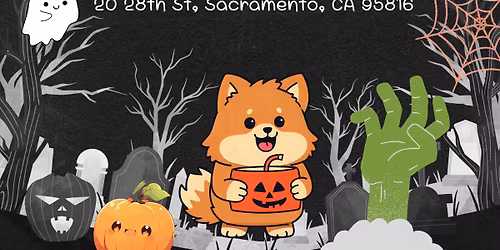 Halloween Pom Meet \ud83d\udc7b\ud83c\udf83\ud83d\udc3e