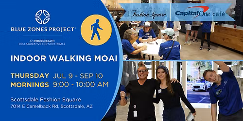 Indoor Walking Moai - BZP Scottsdale