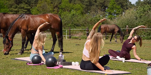 PILATES W\u015aR\u00d3D KONI W RANCHO GROBLICE 