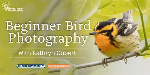Beginner Bird Photography