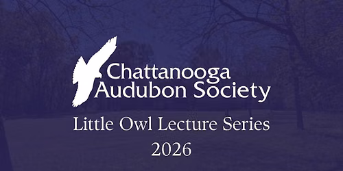 The Spark: Influences on the Creation of the Cherokee Syllabary and Numbering System