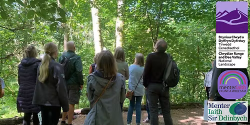 Cymraeg Yn Y Coed | Taith Tywys - Welsh In The Woods | Guided Walk