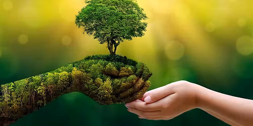 Family Constellations Workshop