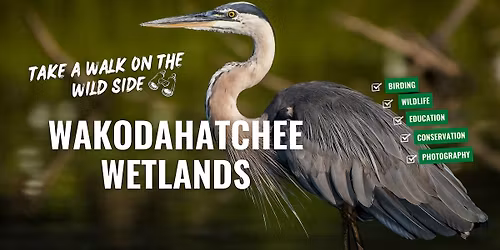 Wakodahatchee Wetlands