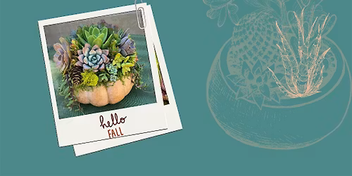 Succulents w\/Jules (Pumpculents)