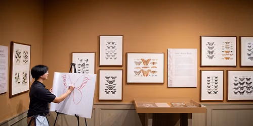 The Art of Science: Drawing Butterflies & Moths