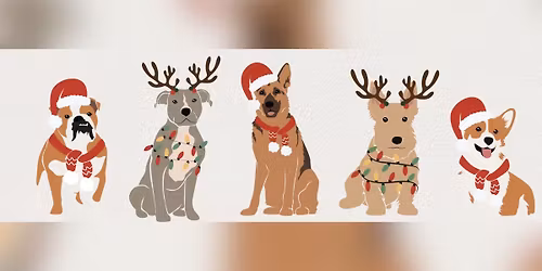 Santa Paws \ud83d\udc3e