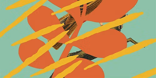 AN AUTHOR IN TRANSLATION: An evening of words, music, and stories