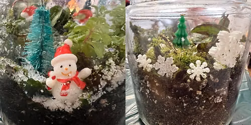 Winter Wonderland Moss Terrarium Workshop