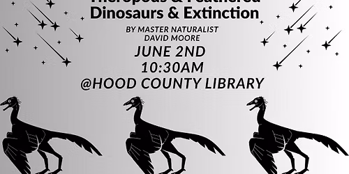 Theropods & Feathered Dinosaurs & Extinction