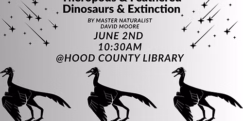 Theropods & Feathered Dinosaurs & Extinction