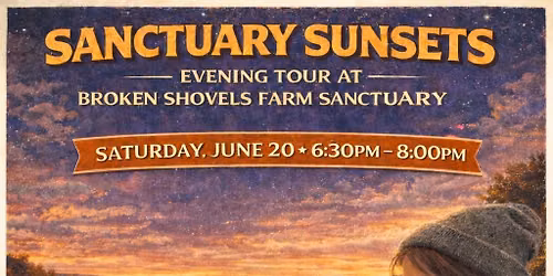 June Sanctuary Sunsets Evening Tour