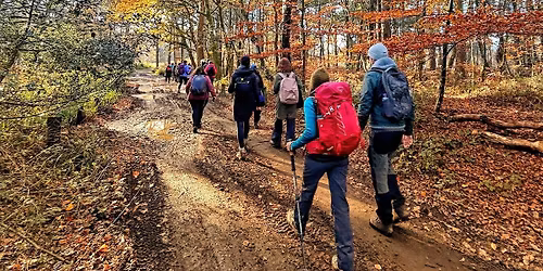 Hiking Winter Hill\u2019s Literary Landscapes, to the wind in the willows.