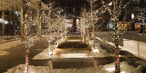 The IACC Social: Holiday Edition!