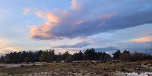 Wandelen met Intentie