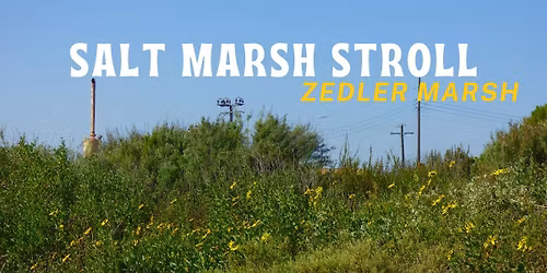 Los Cerritos Wetlands Nature Walk : Salt Marsh Stroll