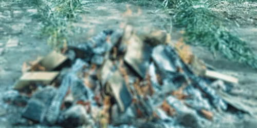 Purification Temazcal ( last one of the year)