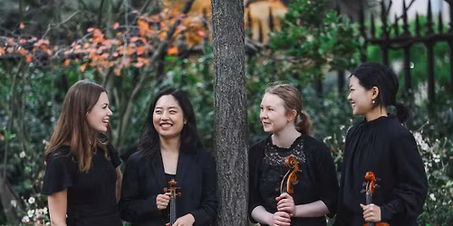 Roselle String Quartet