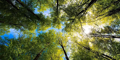 oneBREATH 'le pop up'