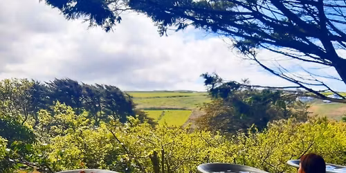 Relaxing Autumnal Yoga and Meditation, woodland spa and tea and cake