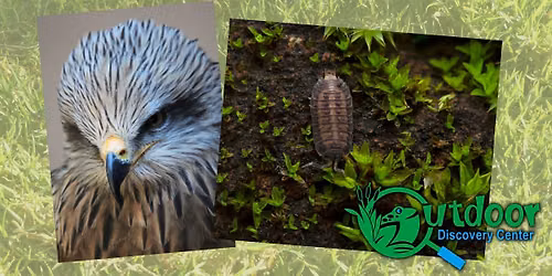 Outdoor Discovery Center Presents Dinosaurs of Today