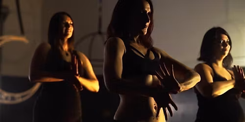 Bellydance Fusion 101