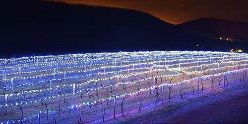 2025 Annual Lighting of the Vineyard Christmas Event (Saturday)