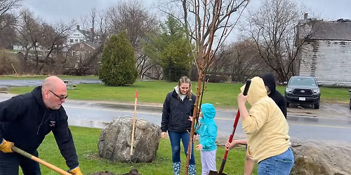 Champlain Village Celebrates Trees