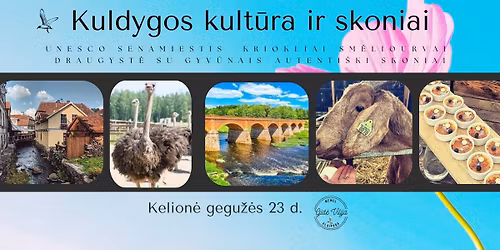 KULDYGOS KULT\u016aRA IR SKONIAI