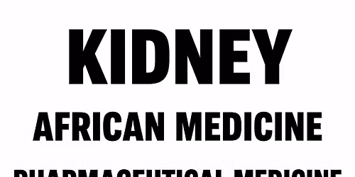 Kidney disease and kidney failure in Africa 