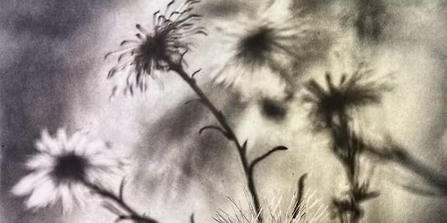 Workshop: Beyond the Straight Photopolymer Print