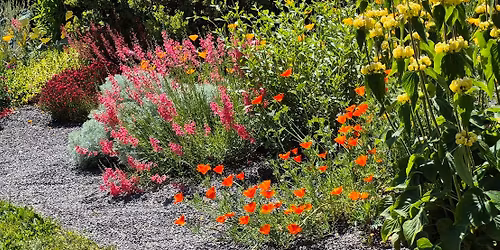 Dirty Diggers Spring Plant Sale