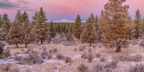 Winter-Wonderland Photo Workshop