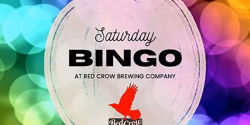 Saturday Bingo 11\/1\/25