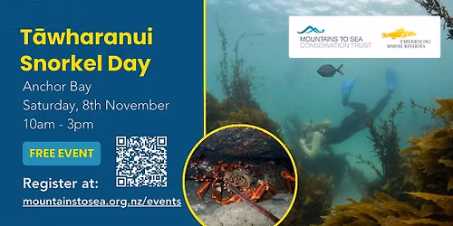 T\u0101wharanui Snorkel Day 2025!