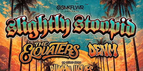 Sublime  Slightly Stoopid & 311