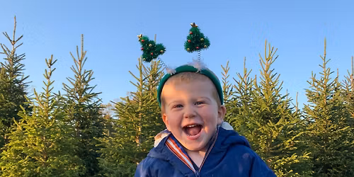 Christmas Tree Sales