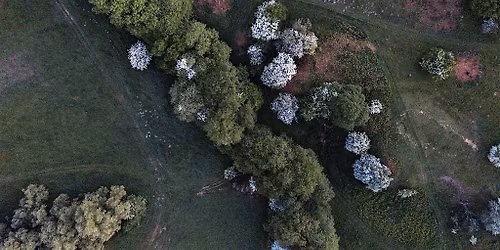 Spring Farm Walk 2026