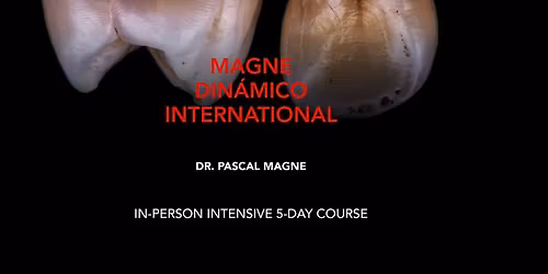 MAGNE DINAMICO INTERNATIONAL